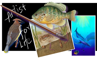 carlyn graph artists